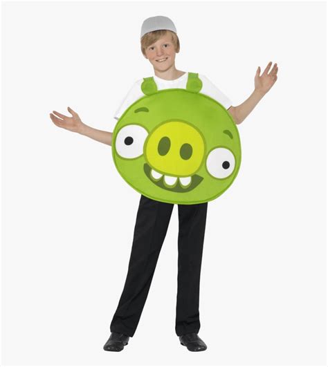 Diy Angry Birds Pig Costume, HD Png Download - kindpng