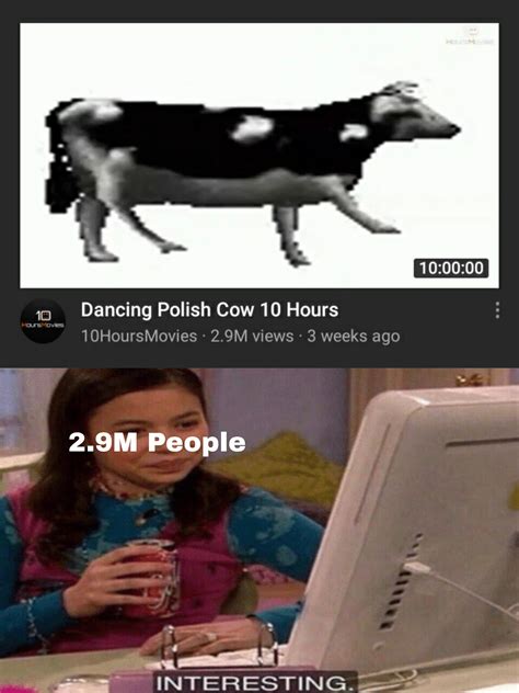 Polish Cow : r/memes