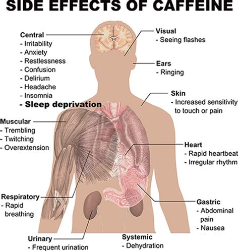 Caffeine | Structure, Formula & Composition - Lesson | Study.com