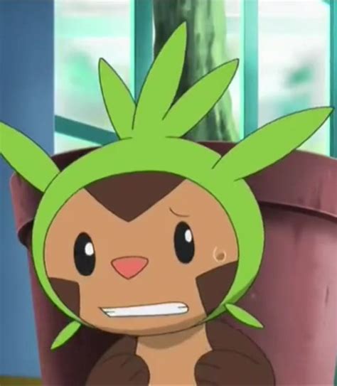 Imagen - Chespin anime XY.jpg | La Wikia de Pokéfanon | FANDOM powered ...