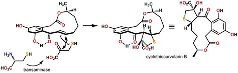 graphical-abstract – ORGANIC CHEMISTRY OF BIOLOGICAL SYSTEMS