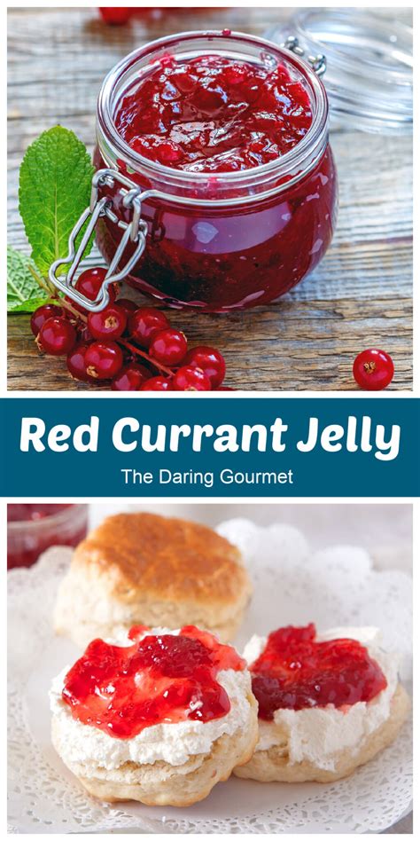 Red Currant Jelly - The Daring Gourmet