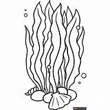 Seaweed Coloring Page  Easy Drawing Guides In 2024 Pages sketch template