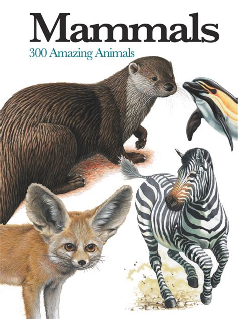 Animals: Visual Encyclopedia - Amber Books