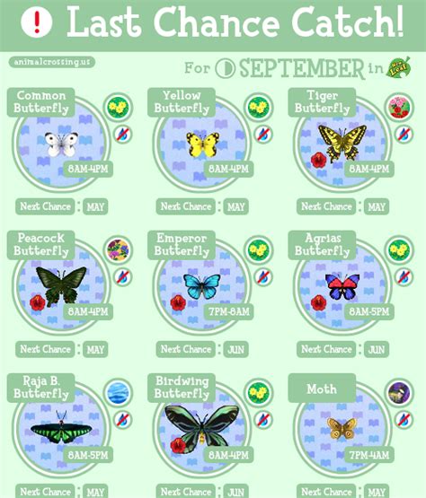 Animal Crossing Fish Guide By Month – Yoiki Guide