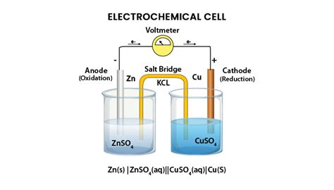 Electrochemical Cell - Definition, Types, Applications | PW