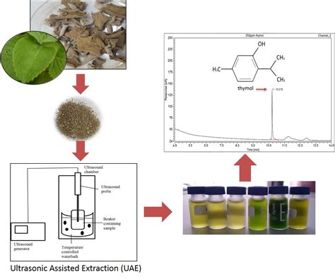 Processes | Free Full-Text | Ultrasonic-Assisted Extraction (UAE ...