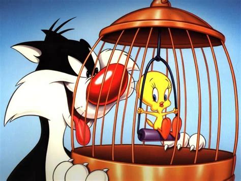 Sylvester & Tweety - Looney Tunes Wallpaper (1990597) - Fanpop