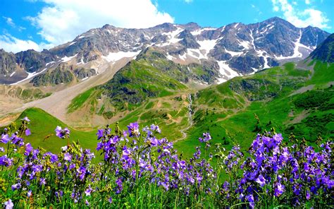 🔥 [40+] Spring in the Alps Wallpapers | WallpaperSafari