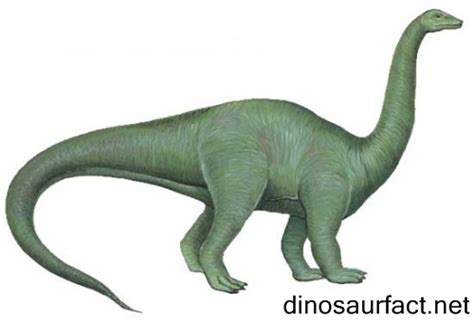 Riojasaurus dinosaur