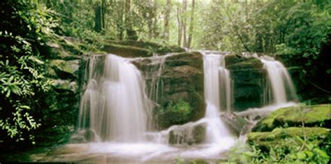 Roaring Fork - Great Smoky Mountains National Park (U.S. National Park ...