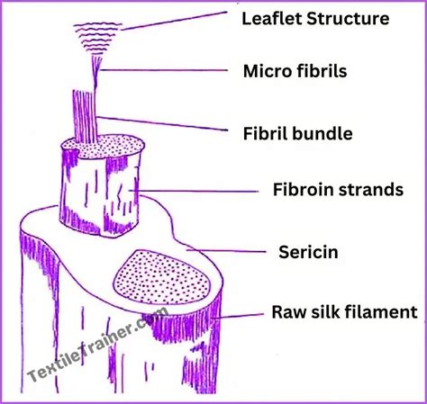 Macro and Micro Structure of Silk Polymer is Easy Described - Textile Trainer