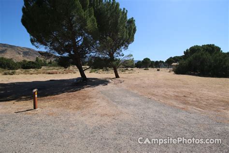 Mohave River Forks Regional Park - Campsite Photos, Reservations & Info