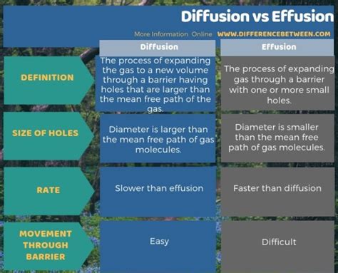 Difference Between Diffusion and Effusion | Compare the Difference Between Similar Terms