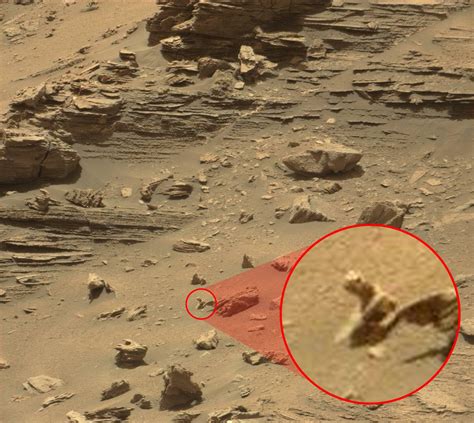 Real Photos Of Aliens On Mars