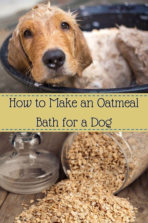 How to Make an Oatmeal Bath for a Dog (With images) | Oatmeal bath, Dog dry skin, Oatmeal bath ...