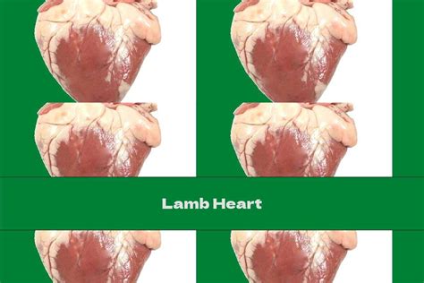 Lamb Heart - This Nutrition