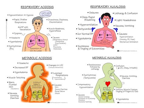 Respiratory/Metabolic Acidosis vs. Alkalosis | Nursing school survival, Nursing school essential ...