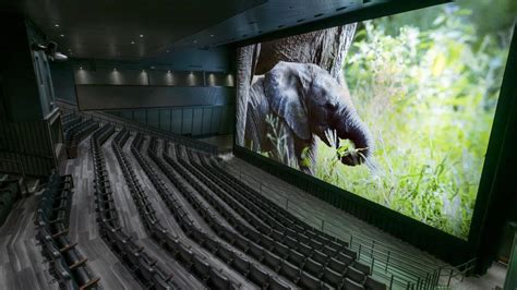 Infinity Theater at DMNS | 9news.com