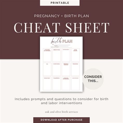 Hospital Birth Plan Home Birth Cheat Sheet Pregnancy Planning Labor ...