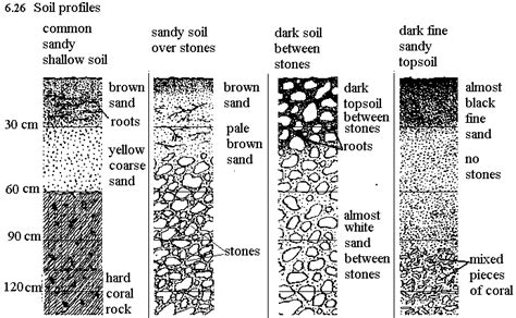 Year1 lessons for primary schools. | Soil layers, Science infographics, Geology