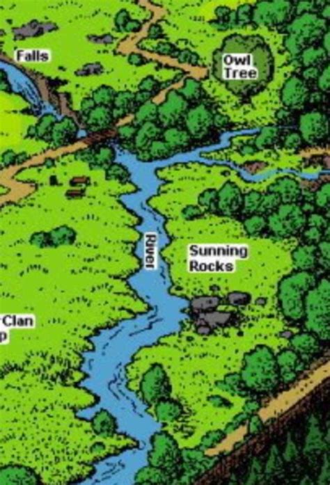 Thunderclan Forest Territory~BookClan Report | Wiki | Warriors Amino