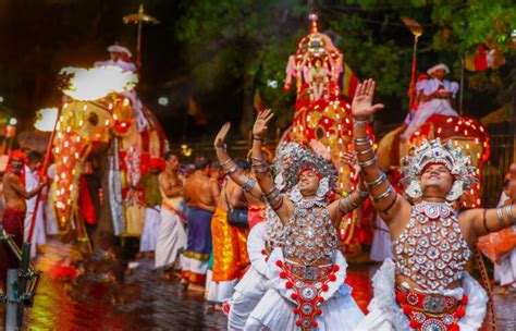 Kandy Esala Perahera 2023 - Chariot Tours & Travels