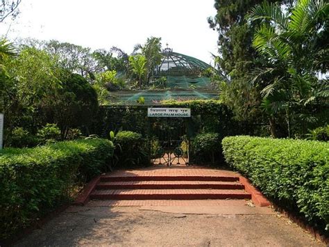 Acharya Jagadish Chandra Bose Indian Botanic Garden | Howrah - What to ...