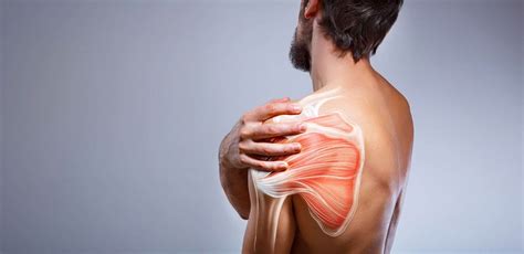 What are the causes, symptoms, and treatments of shoulder fractures ...