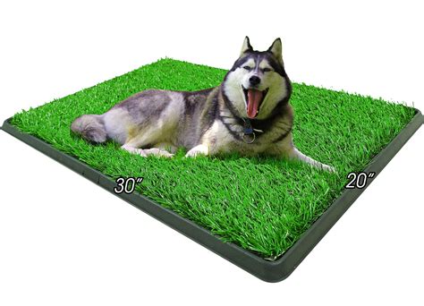 Buy Indoor Dog Potty Grass Pad - Puppy Potty Training Artificial Grass Mats,Dog Fake Grass Pee ...