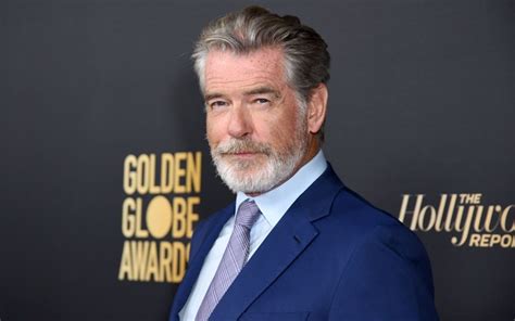 Pierce Brosnan Files Restraining Order Against Stalker