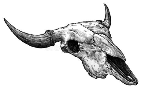 Cow Skull Painting