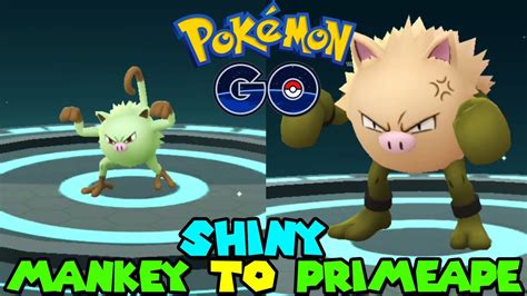 Evolving SHINY MANKEY to SHINY PRIMEAPE in Pokemon go - YouTube