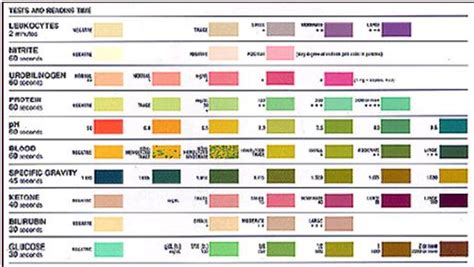 urine analysis multistix colour chart these images can be flickr ...