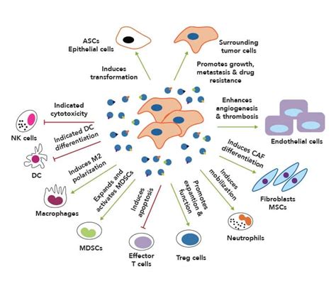 Exosome Biomarkers for Disease