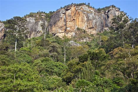 Usambara Mountains travel destinations - Lonely Planet