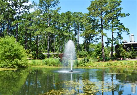 14 Best Botanical Gardens in North Carolina You Must Visit - Southern Trippers