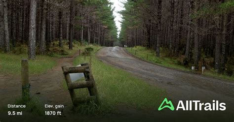 Woodhill Mountain Bike Park Loop, Auckland, New Zealand - 104 Reviews ...