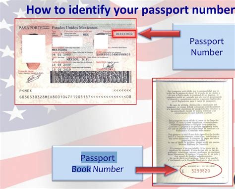 Where and What Is The Passport Book Number?