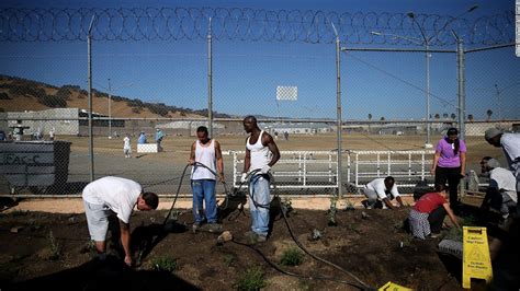 California water: End of the LA lawn (Opinion) - CNN