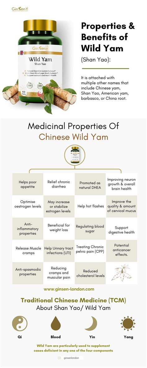 Wild Yam (Shan Yao) : Properties & Benefits