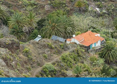 Northeast of La Gomera. Rural House Surrounded by Palm Trees and Solar Panels in the Garden ...