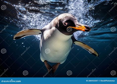 Penguin Swimming Underwater Stock Illustration - Illustration of ocean ...