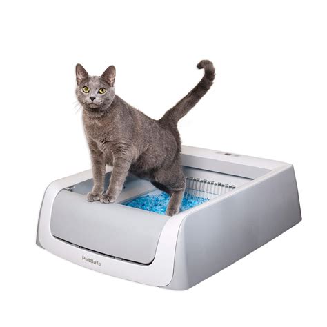 PetSafe ScoopFree Automatic Self-Cleaning Cat Litter Box - Original ...