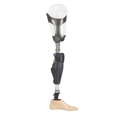 Image Gallery Leg Prosthesis