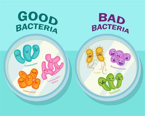 Petri Dish Bacteria Clipart For Kids