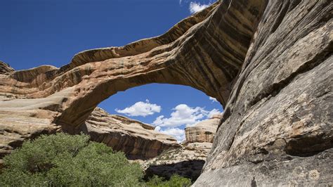 Natural Bridges National Monument