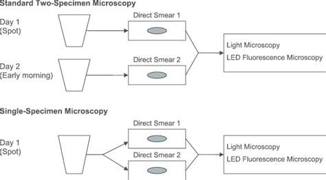 Smear microscopy strategies. The standard approach to smear microscopy ...