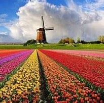 Five Reasons to visit the Netherlands | FlightSite Blog