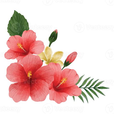 Botanical hibiscus Flower, floral bouquet Clip art Element Transparent Background 24625673 PNG